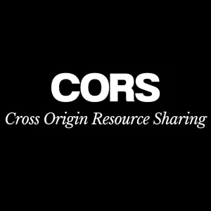 Bukan Hanya CORS ! Permasalahan Yang Sering Di Temukan Oleh Frontend Developer